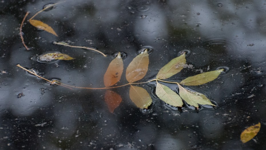 B71339B1-8DFD-4864-9393-CD772E186B35