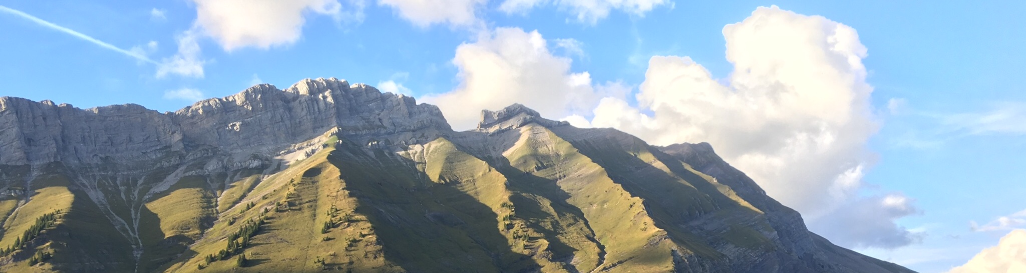 E8157B8F-1C41-49FB-8954-5BA73CD1E22F