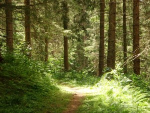 019F0A5F-826A-40D4-9DB1-D69BB96EBF53