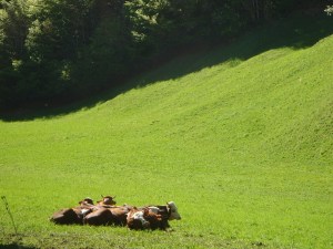 0257D47B-0386-4261-A2CD-F963DB29CBF5