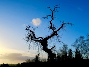 035A27BA-AD64-484A-8E6E-C8B72110FEBC