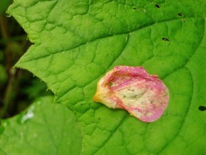 04492A2B-8E62-4920-B7B8-930CF804E2F8