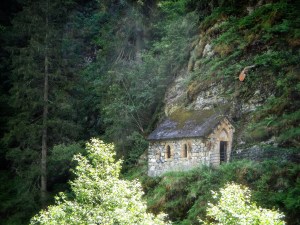 065521E9-CCA6-40E2-9AE6-8E9CAE21DB3F