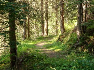 54361C98-E03B-4A92-951A-3E4C28058C89