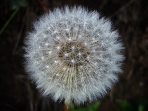 8110AA7C-EC91-455E-A69A-DCCF9FD5444A