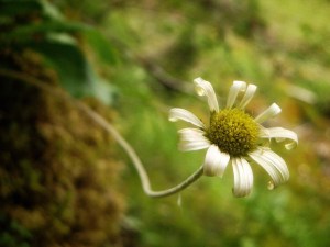 939AA530-9FD5-4374-BDEA-79EEE924208F