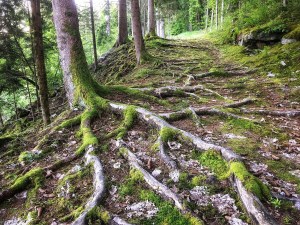 94BE9E8B-FD6F-477F-8BCC-1A8C504AA0EF