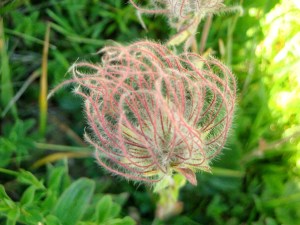 A3B9A646-CE6B-4AD5-BCCE-817A99A17A29