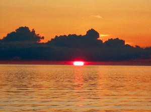 BF555B68-F8E7-4BED-B49E-F857B14E7B16