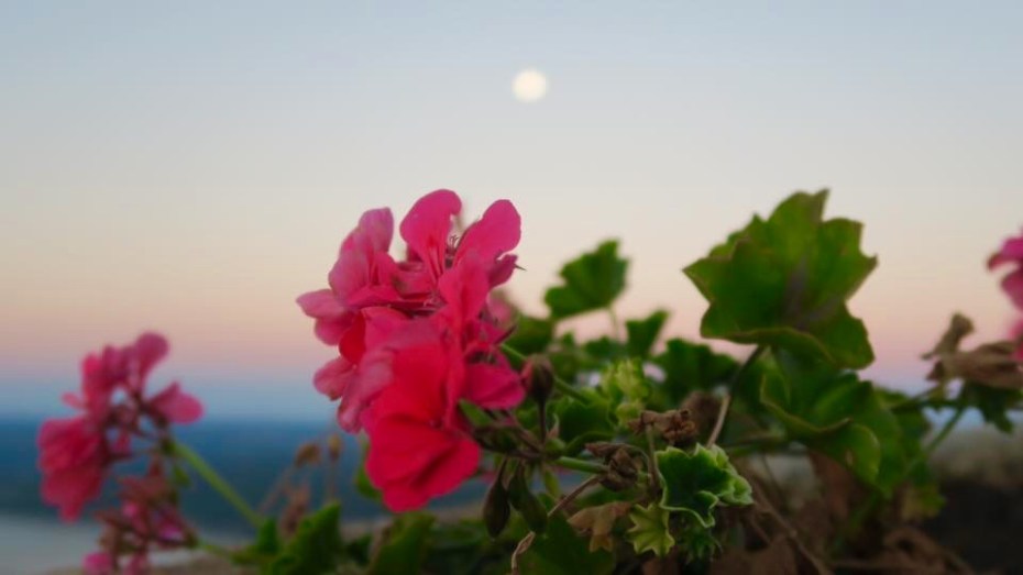 C6DDEEE6-658E-470F-8508-8879640B920D