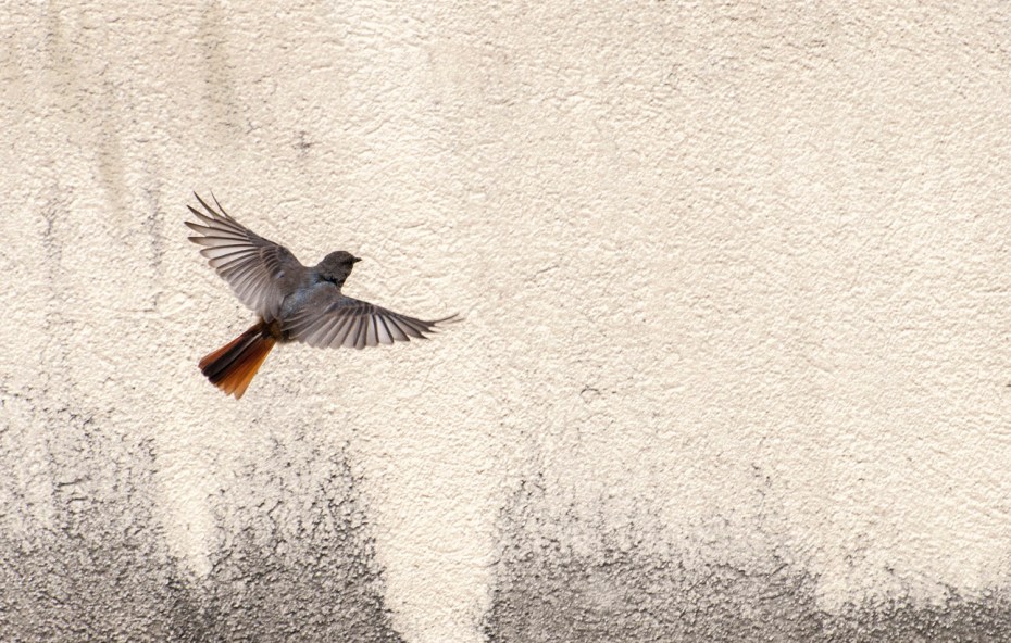 0FFA7827-77D7-4A2C-83DE-BF377BE10482