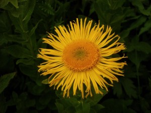 5EAF7919-112D-42C5-8130-3E68924825C7