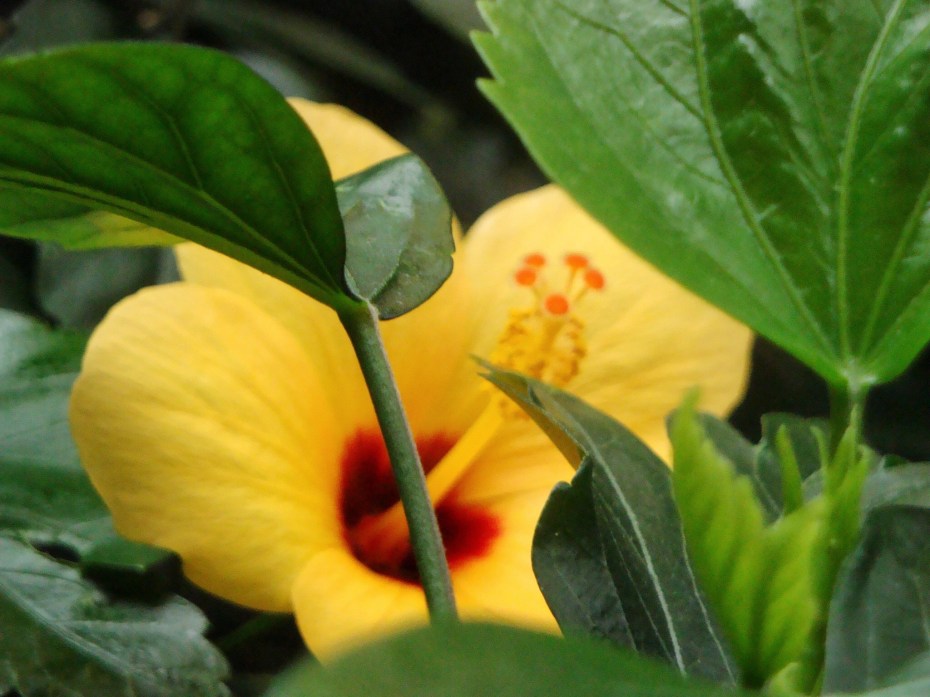 8E60DEAA-554C-45DF-B643-EC95C4299095