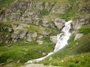 DFFEFA93-EFFF-44B1-966F-4C0E79E8AA37