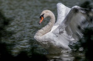 FEAB5455-8CD3-4102-B2CE-B5794E742CD2