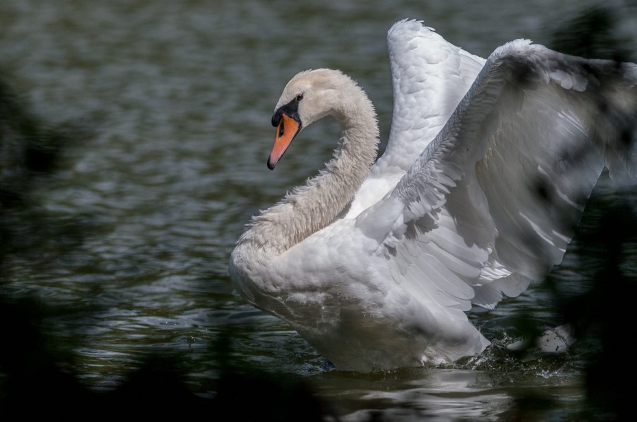 FEAB5455-8CD3-4102-B2CE-B5794E742CD2