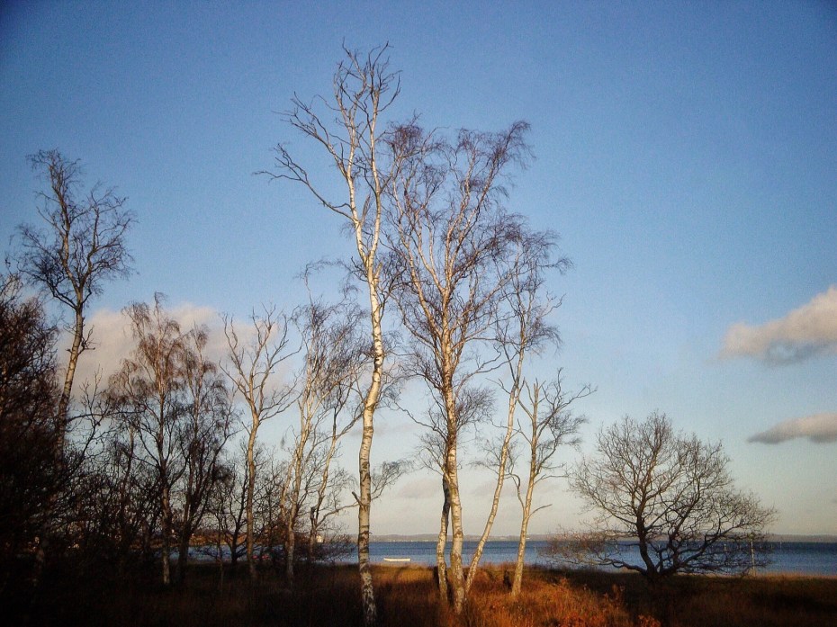 525A4CC6-BA9B-403A-AD66-6BB00F94CD0E