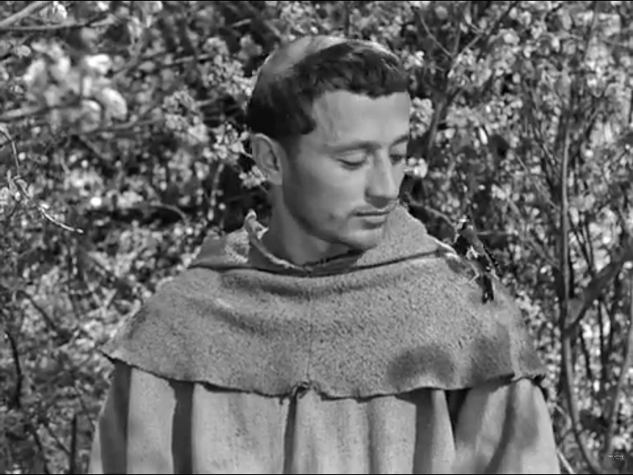 9CDBB6D0-6BEC-4E62-A639-27CC357734E4