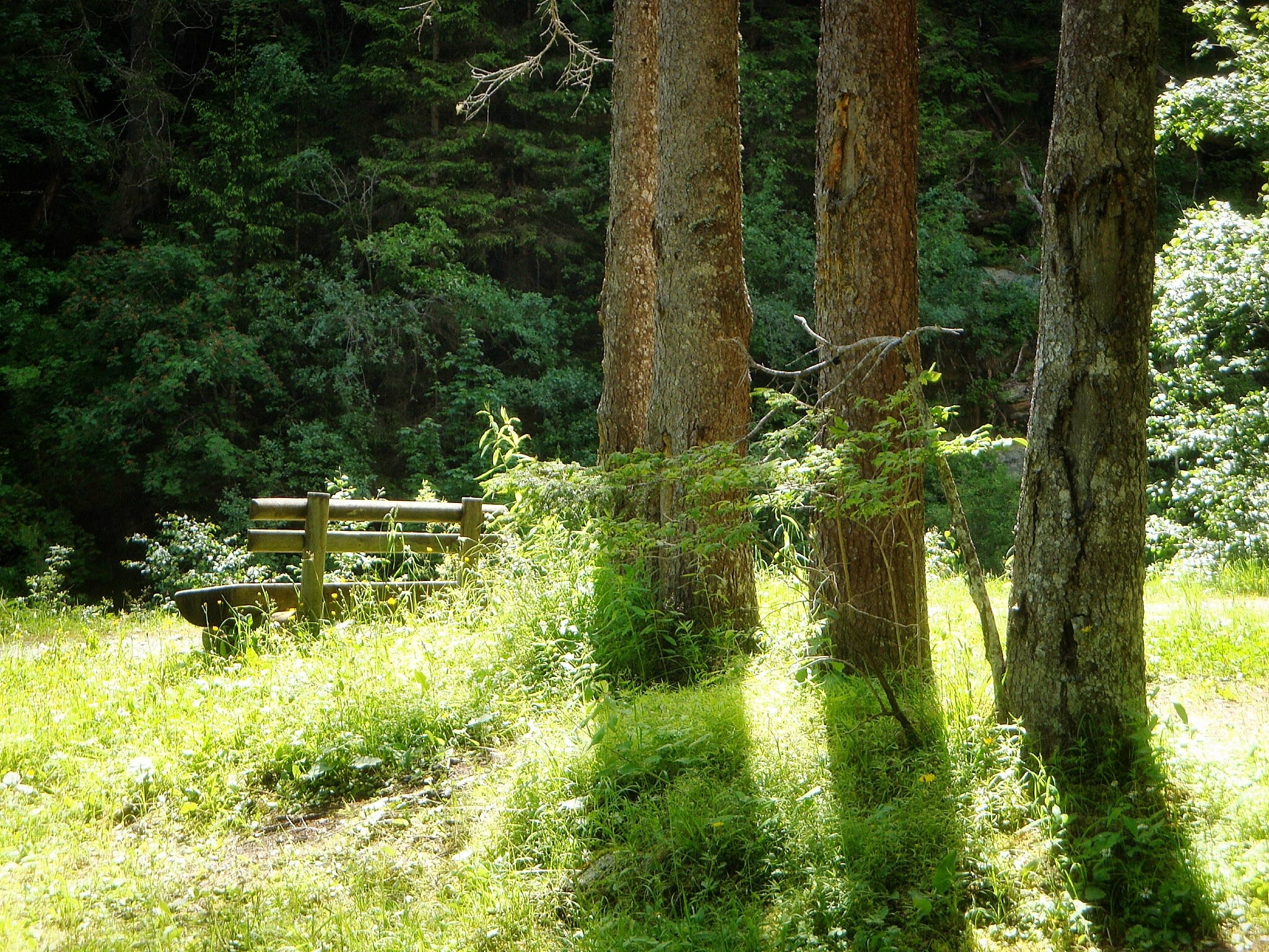 C301DFEF-FA0D-408A-9C73-DB5860DB1AC5