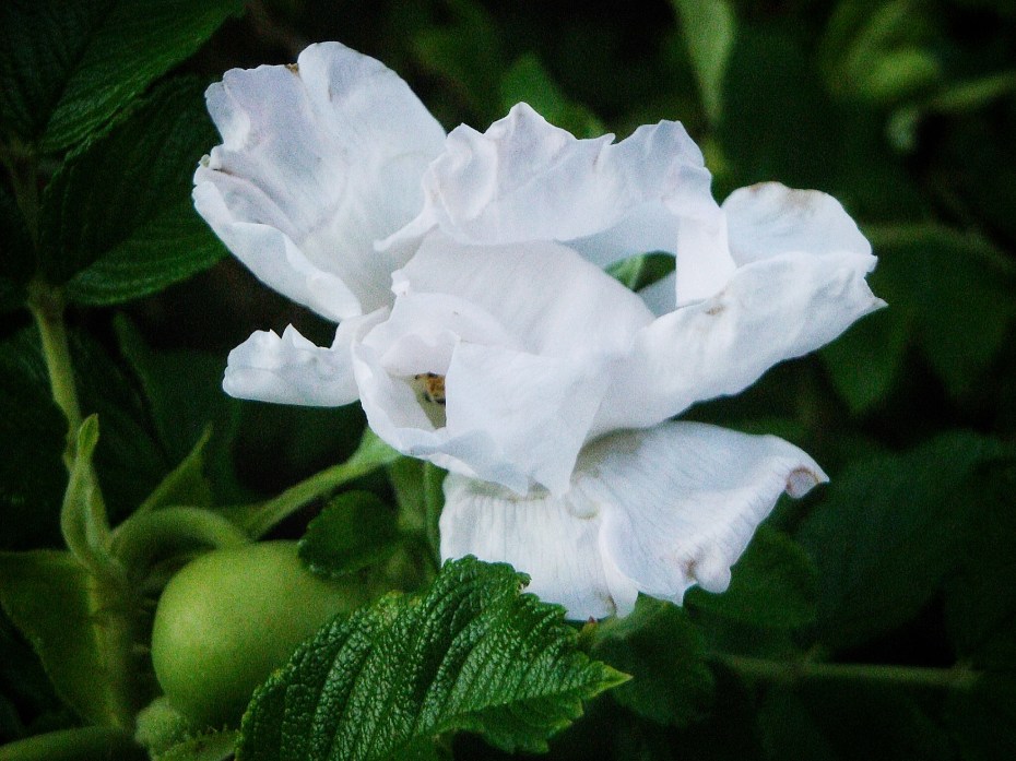 F2316FF3-1E08-41A4-BCBC-D1A5F8056BBA