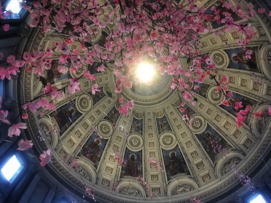 29EAA2D0-A2DF-466C-9320-0B0154B1CE66