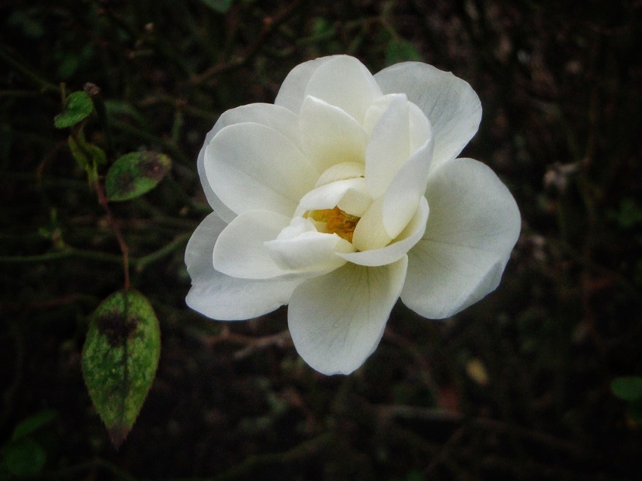 6C149B1C-7029-4154-8F0B-E49DB5A8F1EC